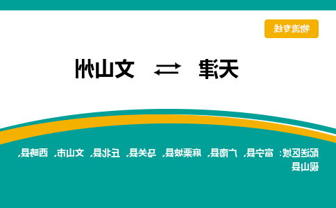 天津到西畴县物流公司|天津到西畴县物流专线|天津到西畴县货运专线